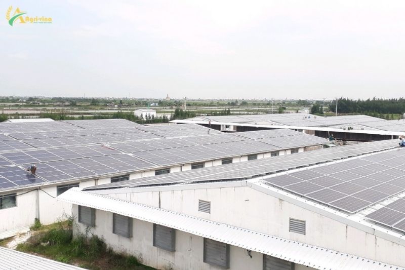 Dự Án Năng Lượng Mặt Trời Áp Mái Tại Nam Định