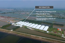 Tổng quan dự án trang trại chăn nuôi công nghệ cao tại Nam Định