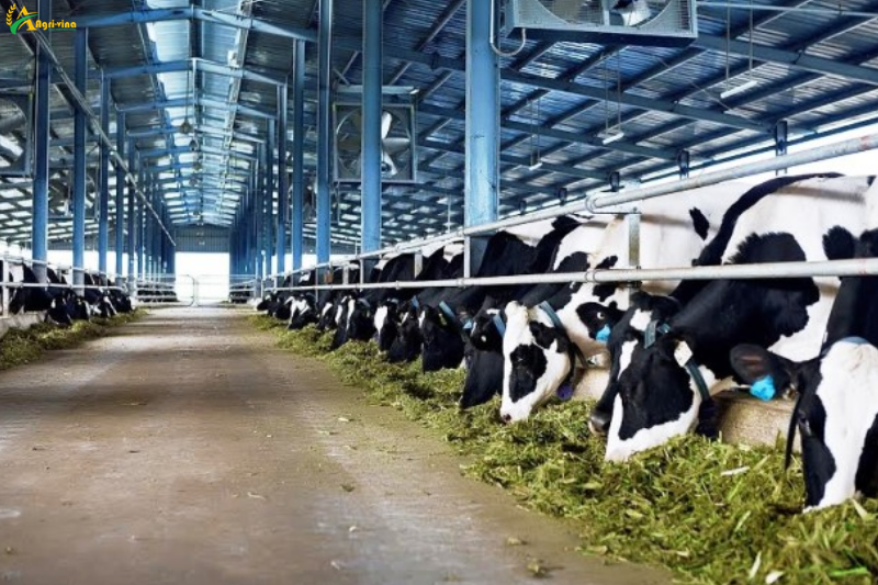 Làm gì để thúc đẩy phát triển hệ sinh thái nông nghiệp số tại Việt Nam?