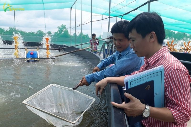 168 tỷ đồng thúc đẩy khoa học công nghệ ngành nông nghiệp