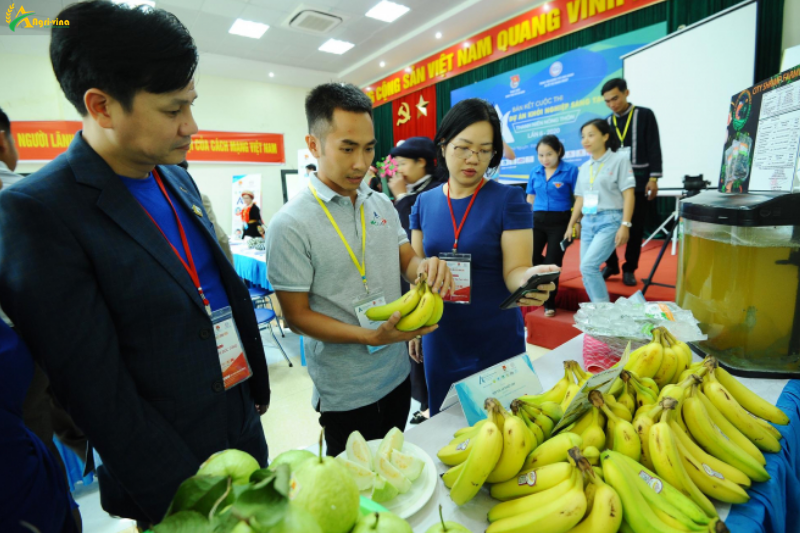 Thúc đẩy chuyển đổi số trong nông nghiệp